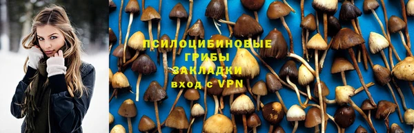 винт Алексеевка