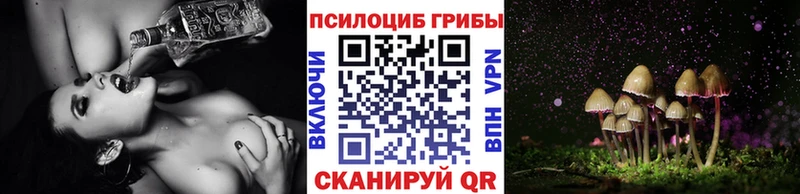ссылка на мегу   Боровск  Галлюциногенные грибы Cubensis 